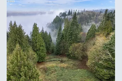 205 Newt Estates Rd, Longview, WA 98632 - Photo 1