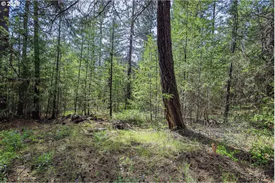 Nka Forest Glen Dr #38, Goldendale, WA 98620 - Photo 1