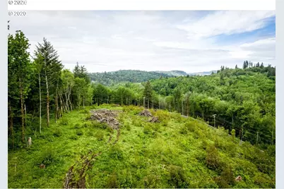 0 Mt Pleasant Dr, Washougal, WA 98671 - Photo 1