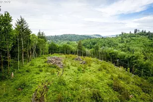 0 Mt Pleasant Dr, Washougal, WA 98671 - Photo 1