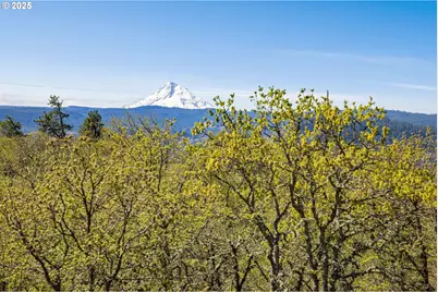 1075 Morgensen Rd, Mosier, OR 97040 - Photo 1