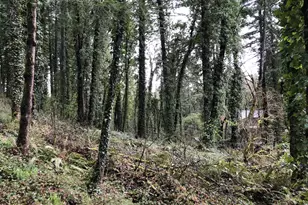 19088 Barton Rd, Lake Oswego, OR 97034 - Photo 1