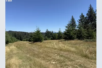 0 NE 277th Ave, Camas, WA 98607 - Photo 1