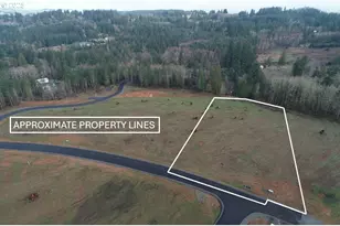 223 Ash Mountain Dr, Castle Rock, WA 98611 - Photo 1