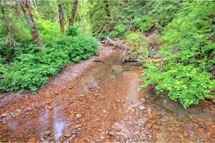 3 Parpala Rd, Naselle, WA 98638 - Photo 1