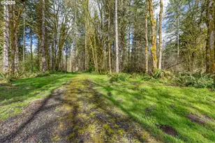 171 Deer Park Ln, Toledo, WA 98591 - Photo 1