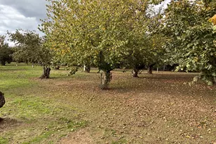 46345 NW Strohmayer Rd, Forest Grove, OR 97116 - Photo 1