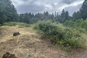 76161 Smolt Ln, Oakridge, OR 97463 - Photo 1
