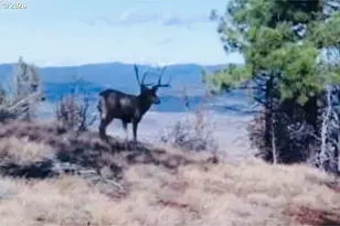 Fs Rd 613, John Day, OR 97845 - Photo 1