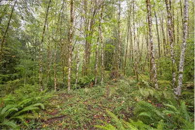 Sec 34 Twn 4N Rng 2W, Scappoose, OR 97056 - Photo 1