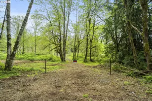 34403 NE Lewisville Hwy, Yacolt, WA 98675 - Photo 1