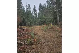 78654 Basket Mountain Rd, Weston, OR 97886 - Photo 1