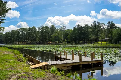 897 Edisto Lake Road, Wagener, SC 29164 - Photo 34