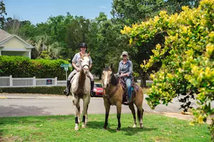 129 Colleton Ave SW, Aiken, SC 29801 - Photo 68