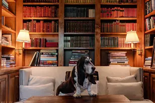 129 Colleton Ave SW, Aiken, SC 29801 - Photo 14