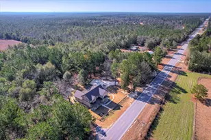 854 SC-39, Williston, SC 29853 - Photo 6