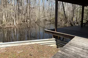 1114 Lott Bluff Rd, Blackville, SC 29817 - Photo 142