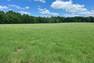 1114 Lott Bluff Rd, Blackville, SC 29817 - Photo 88