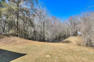 1114 Lott Bluff Rd, Blackville, SC 29817 - Photo 66