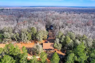 1114 Lott Bluff Rd, Blackville, SC 29817 - Photo 74