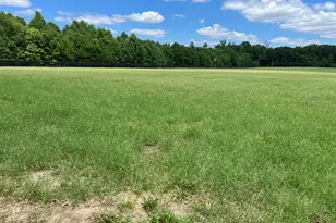 1114 Lott Bluff Rd, Blackville, SC 29817 - Photo 122