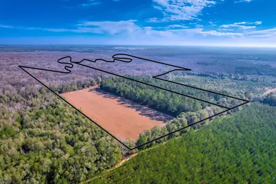 1114 Lott Bluff Road, Blackville, SC 29817 - Photo 6