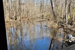 1114 Lott Bluff Rd, Blackville, SC 29817 - Photo 138