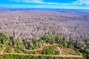 1114 Lott Bluff Rd, Blackville, SC 29817 - Photo 76