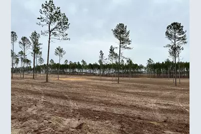 00/ Lot 64 Laughlin Loop, Aiken, SC 29805 - Photo 1