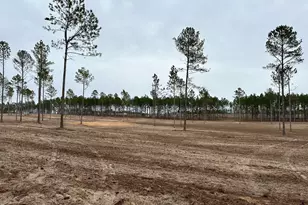 00/ Lot 64 Laughlin Loop, Aiken, SC 29805 - Photo 1