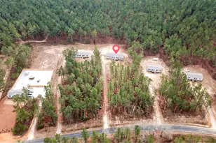 812 White Pond Rd, Williston, SC 29853 - Photo 6