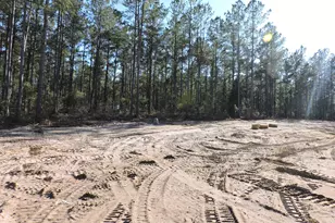 818 White Pond Rd, Williston, SC 29853 - Photo 8