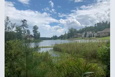 113 Sea Grass Lane, Aiken, SC 29803 - Photo 4