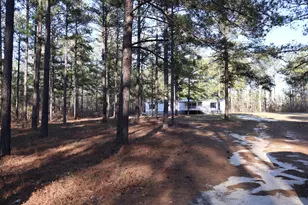 2195 Joyner Pond Rd, Aiken, SC 29803 - Photo 46