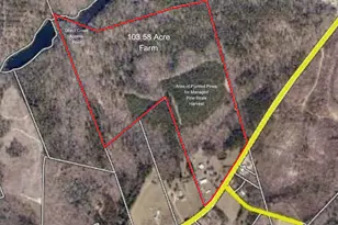 357 Collum Pond Rd, Wagener, SC 29164 - Photo 2