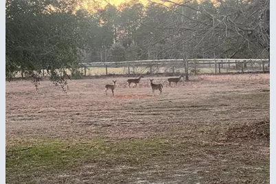 657 Tolt Trail, Aiken, SC 29801 - Photo 52