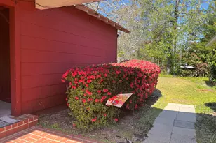 4531 Rosemary St, Williston, SC 29853 - Photo 44