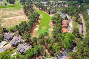 100 White Willow Pl, Aiken, SC 29803 - Photo 62