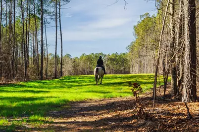 Lot 8 Carillon Court, Aiken, SC 29803 - Photo 30