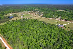 3342 Tom Bartles Rd, Appling, GA 30802 - Photo 64