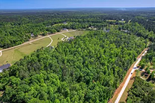 3342 Tom Bartles Rd, Appling, GA 30802 - Photo 62