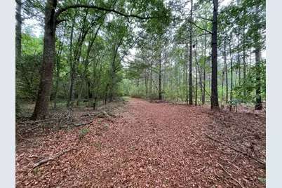 5924 Wagener Road, Wagener, SC 29164 - Photo 40