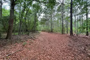 5924 Wagener Rd, Wagener, SC 29164 - Photo 40