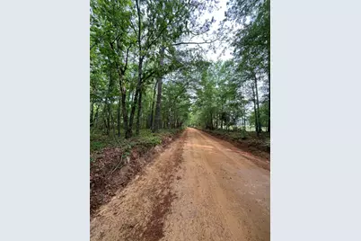 5924 Wagener Road, Wagener, SC 29164 - Photo 44