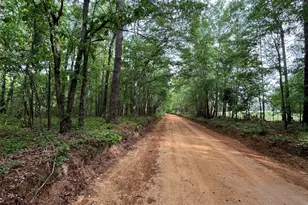 5924 Wagener Rd, Wagener, SC 29164 - Photo 44