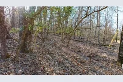 Lot 4 Bluffwood Road, Wagener, SC 29164 - Photo 8