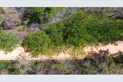 Lot 4 Bluffwood Road, Wagener, SC 29164 - Photo 4