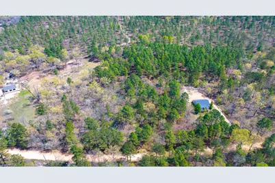 Lot 4 Bluffwood Road, Wagener, SC 29164 - Photo 6