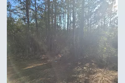 Behind 171 Off Springs Road, Aiken, SC 29801 - Photo 1