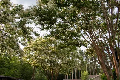 65 Linda Gayle Drive, Barnwell, SC 29812 - Photo 50